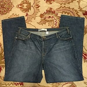 GAP Skinny Stretch Plus Size Jeans